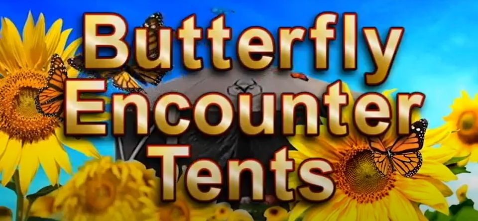 butterfly tents.jpg