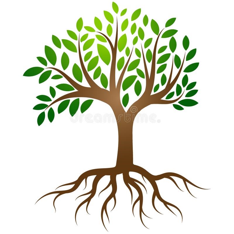 Tree Roots Drawing Kids