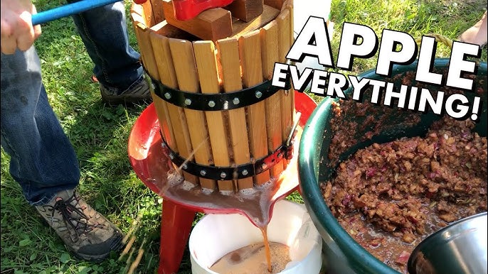 apple bash.jpg