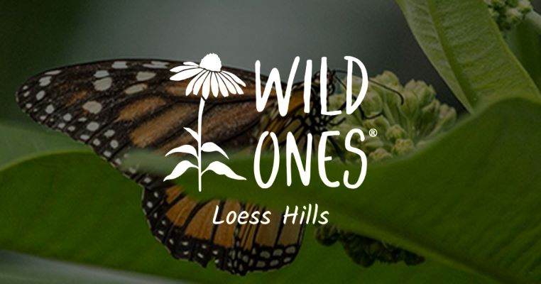 loess hills wild ones1.jpg